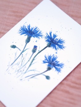Premium Postkarte "Kornblume"